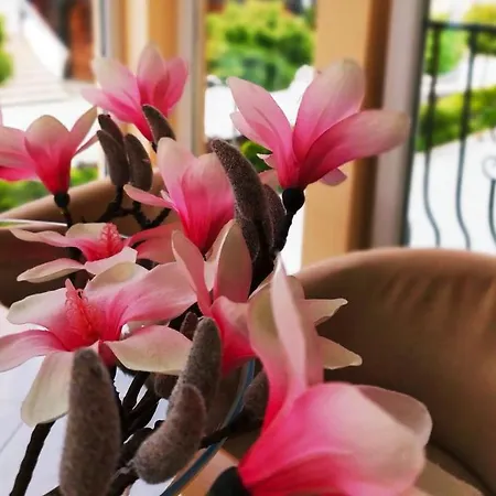 Restauracja Kwisa 1 Świeradów-Zdrój